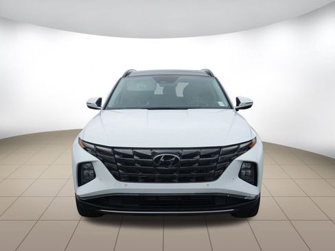 Used 2024 Hyundai Tucson Limited image 2