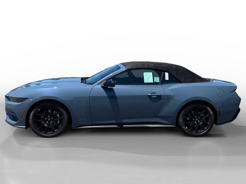 New 2026 Ford Mustang Premium w/ Mustang Nite Pony Package RWD image 2