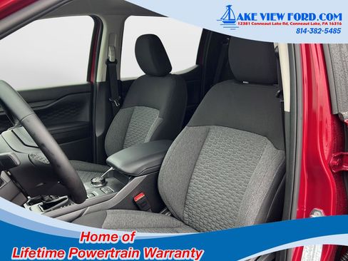 New 2025 Ford Ranger XLT w/ Black Appearance Package image 18