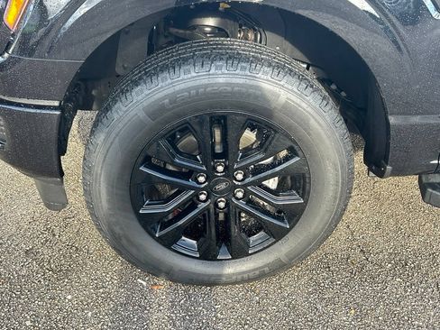 Used 2025 Ford F150 XLT w/ Equipment Group 303A High AWD/4WD image 19