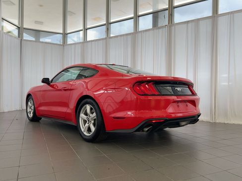 Used 2019 Ford Mustang Coupe image 3
