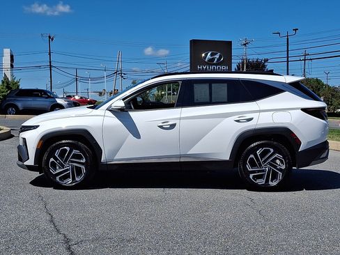 Used 2025 Hyundai Tucson Limited AWD/4WD image 8