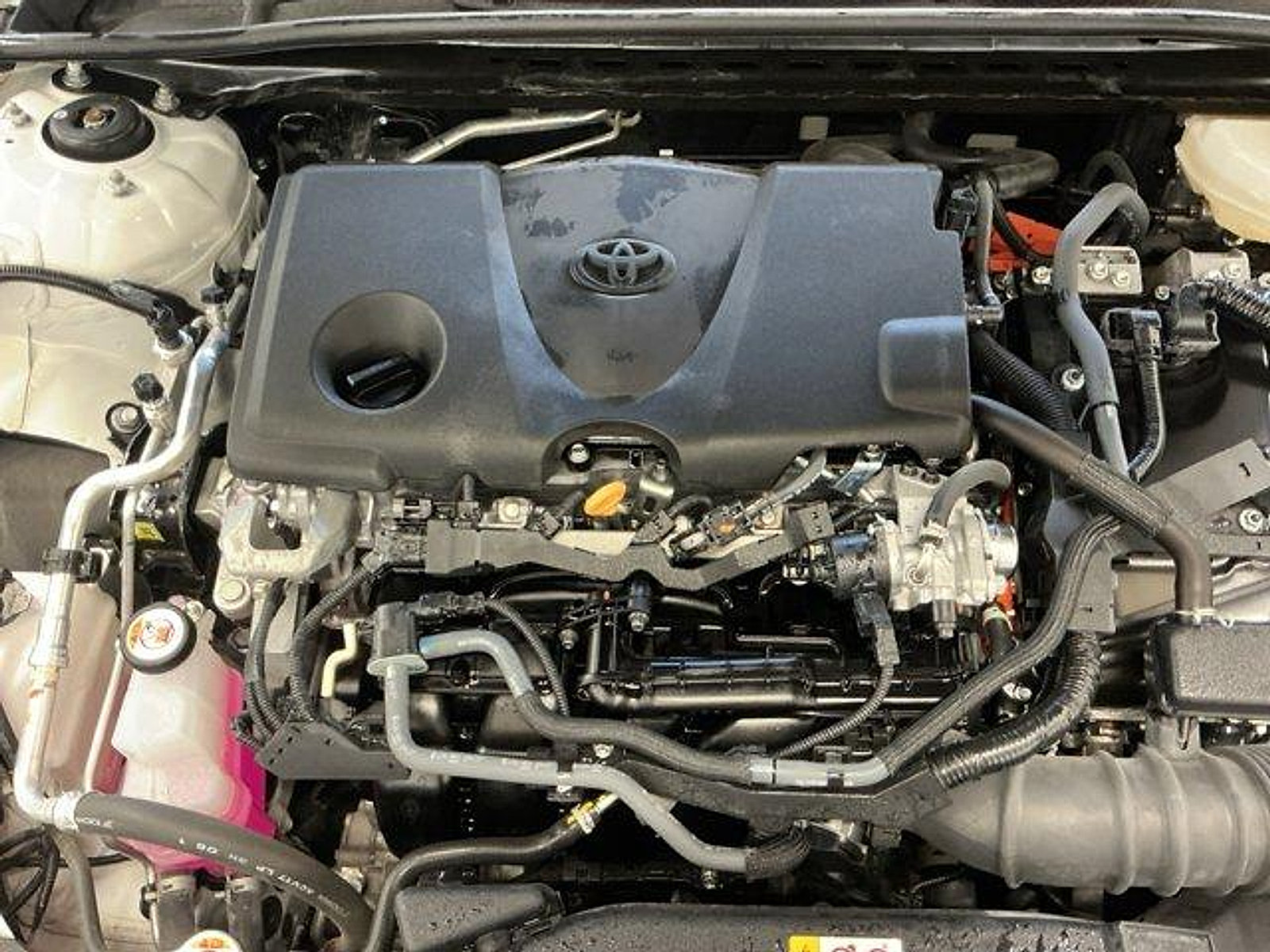Certified 2025 Toyota Camry LE AWD/4WD image 19