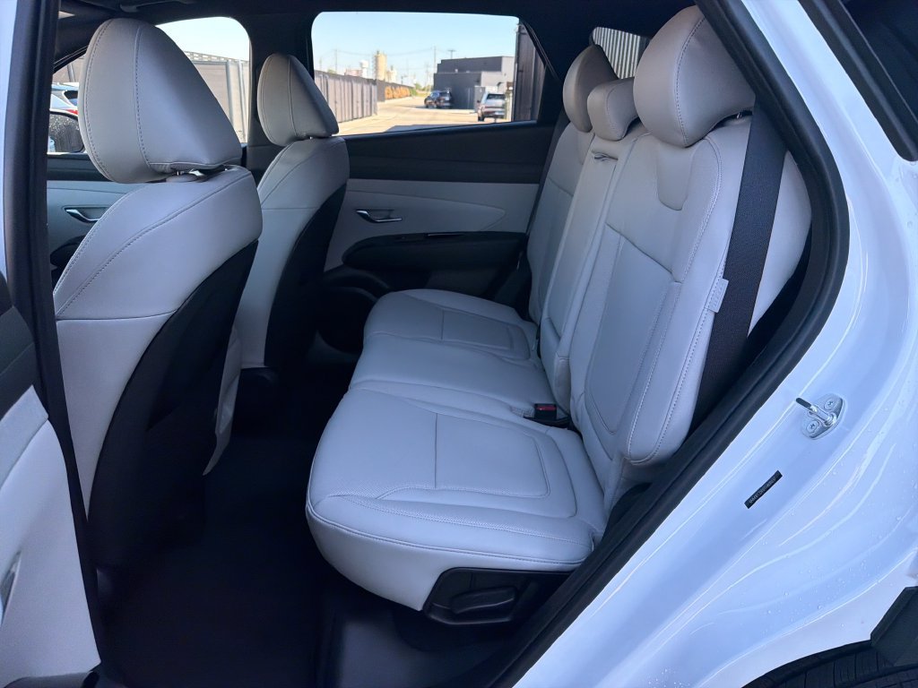 New 2026 Hyundai Tucson Limited AWD/4WD image 19