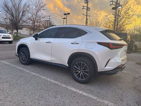 Certified 2025 Lexus NX 350h AWD w/ Cold Area Package image 11