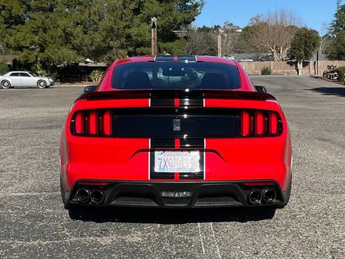 Used 2016 Ford Mustang Shelby GT350 image 9