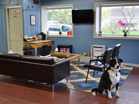 Used 2022 Ford F150 XLT image 40