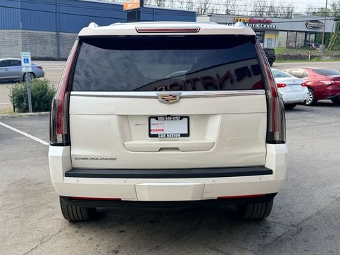 Used 2015 Cadillac Escalade Luxury image 5