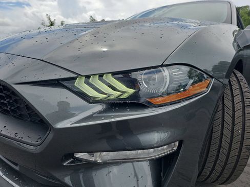 Used 2019 Ford Mustang Premium w/ Equipment Group 201A RWD image 31