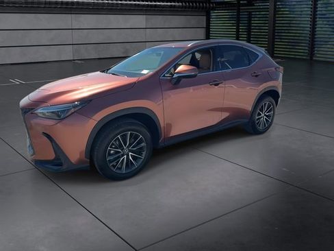 Used 2025 Lexus NX 250 FWD w/ Cold Area Package image 4