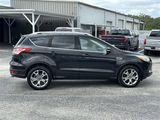 Used 2014 Ford Escape Titanium image 3