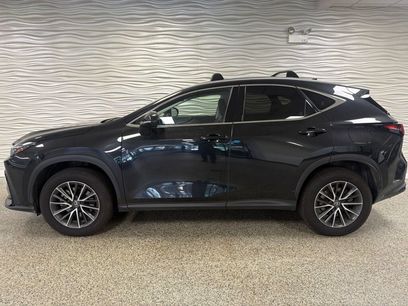 Certified 2024 Lexus NX 350h AWD w/ Cold Area Package