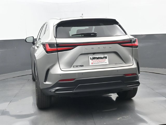 Used 2025 Lexus NX 250 FWD w/ Accessory Package (Z1) image 4