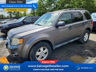 Used 2012 Ford Escape XLT