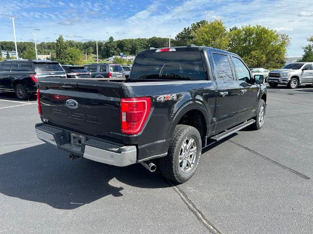 Certified 2021 Ford F150 XLT w/ Equipment Group 302A High AWD/4WD image 5