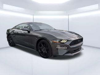 Used 2019 Ford Mustang Premium w/ Black Accent Package image 1
