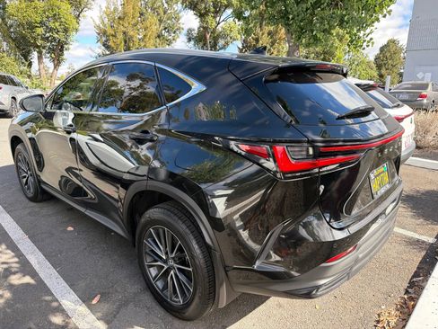 Used 2024 Lexus NX 350h AWD image 5