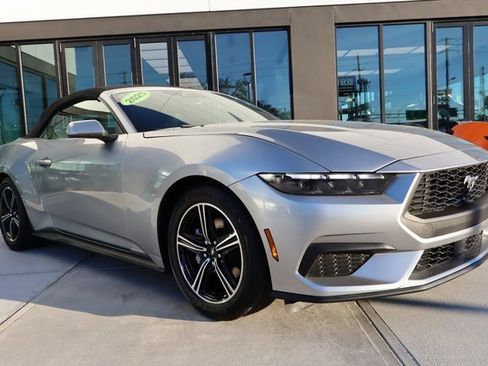 Used 2025 Ford Mustang Premium image 1