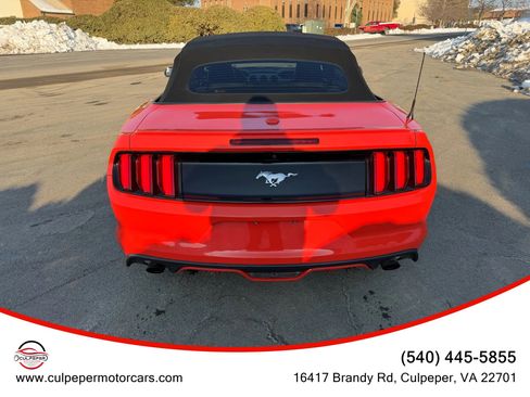 Used 2015 Ford Mustang Premium RWD image 5