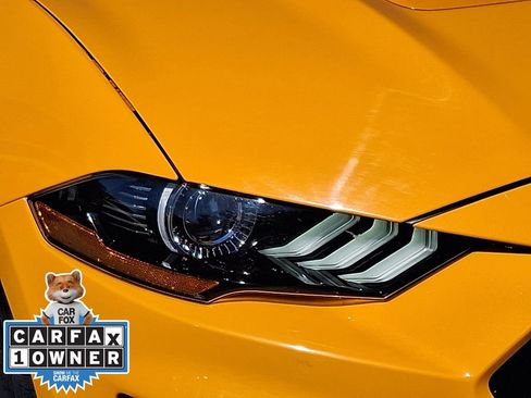 Used 2018 Ford Mustang GT Premium w/ Equipment Group 401A RWD image 9