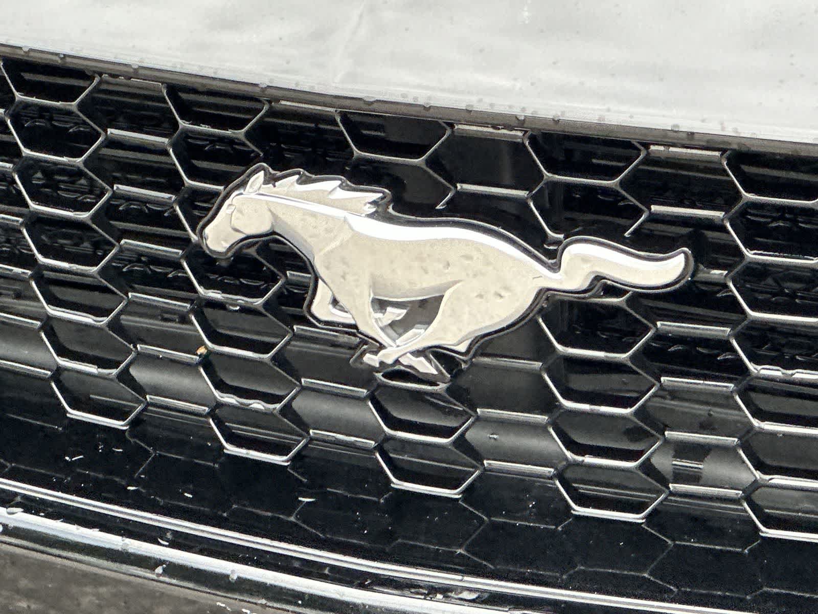 Used 2024 Ford Mustang GT Premium RWD image 14