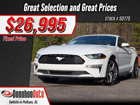 Used 2023 Ford Mustang Premium w/ Equipment Group 201A image 1