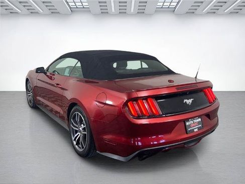 Used 2015 Ford Mustang Premium w/ Equipment Group 201A RWD image 8