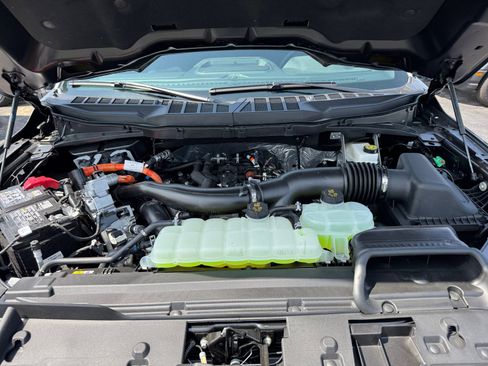 New 2025 Ford F150 XLT w/ Equipment Group 302A MID image 33