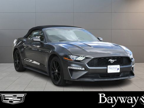 Used 2019 Ford Mustang Premium image 3