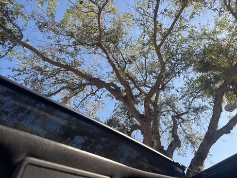 Used 2020 Ford F150 XLT w/ Equipment Group 302A Luxury image 5