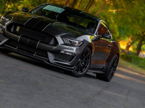 Used 2016 Ford Mustang Shelby GT350 w/ Technology Package image 24