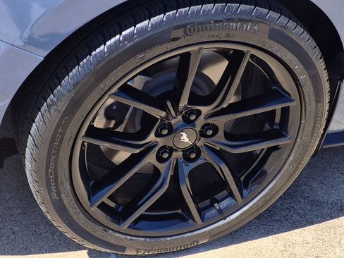 Used 2024 Ford Mustang GT Premium w/ Mustang Nite Pony Package RWD image 7