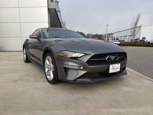 Used 2021 Ford Mustang Premium w/ Equipment Group 201A image 1