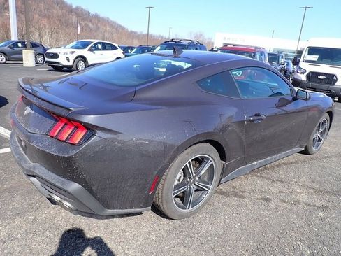 Used 2024 Ford Mustang Premium image 5
