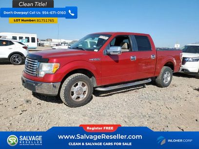 Used 2010 Ford F150 2WD SuperCrew