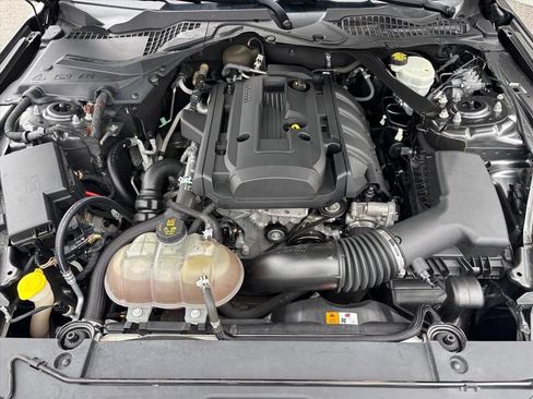 Used 2016 Ford Mustang Premium w/ Equipment Group 201A RWD image 29