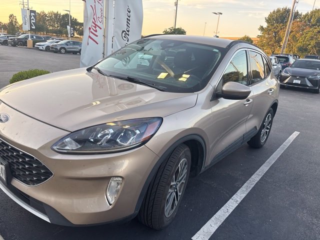 Used 2020 Ford Escape SEL AWD/4WD image 1