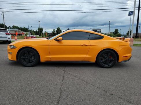 Used 2019 Ford Mustang Coupe w/ Ecoboost Performance Package RWD image 2