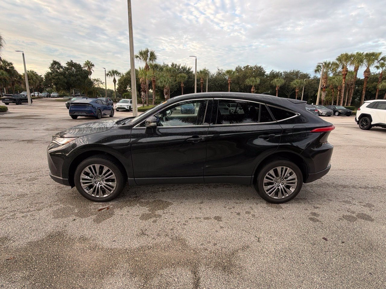 Used 2024 Toyota Venza XLE AWD/4WD image 2