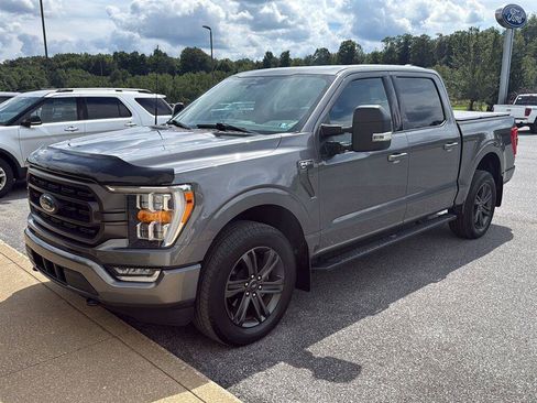 Used 2023 Ford F150 XLT w/ Equipment Group 302A High AWD/4WD image 1