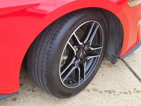 Used 2023 Ford Mustang Premium image 5