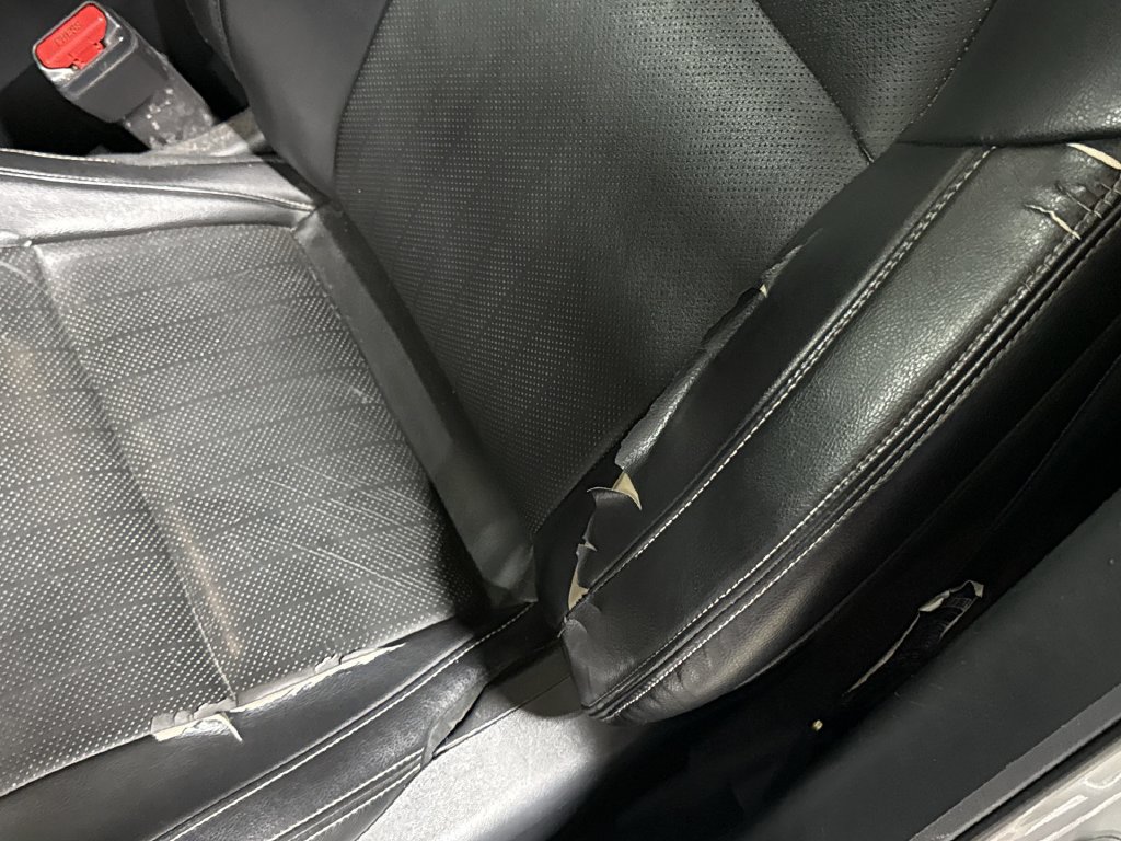Used 2020 Nissan Maxima 3.5 SV w/ Floor Mat Group FWD image 34