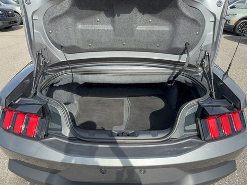 Certified 2024 Ford Mustang Premium image 7
