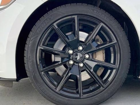 Used 2017 Ford Mustang GT w/ Black Accent Package RWD image 5