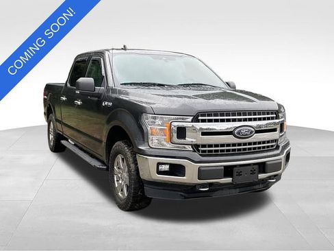 Used 2019 Ford F150 XLT w/ Equipment Group 302A Luxury AWD/4WD image 1