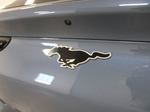 Used 2024 Ford Mustang Mach-E Select w/ Comfort Package Lite image 14