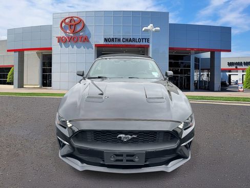 Used 2019 Ford Mustang Premium image 3