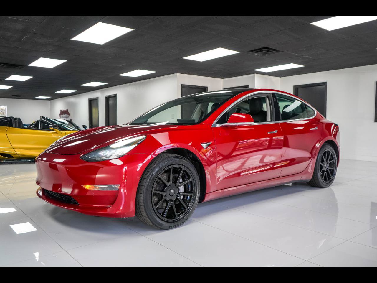 Used 2019 Tesla Model 3 Long Range AWD/4WD image 1