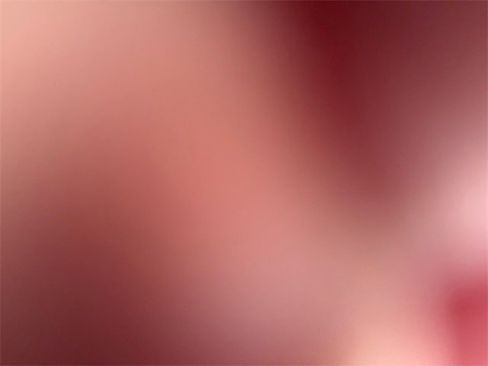 Used 2022 Toyota 4Runner SR5 Premium image 42