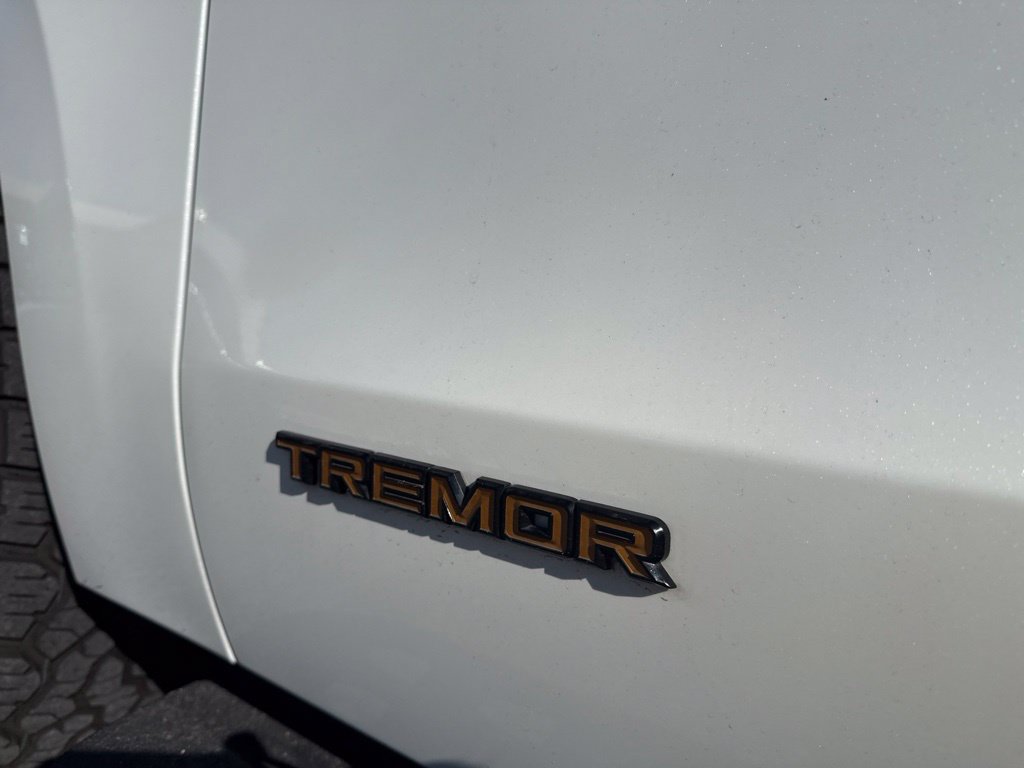 Used 2025 Ford Expedition Tremor AWD/4WD image 12